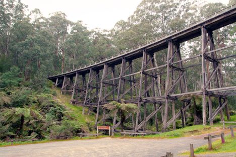Noojee Trestle Bridge