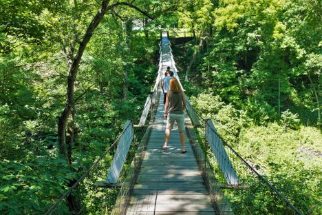 The Swinging Bridge
