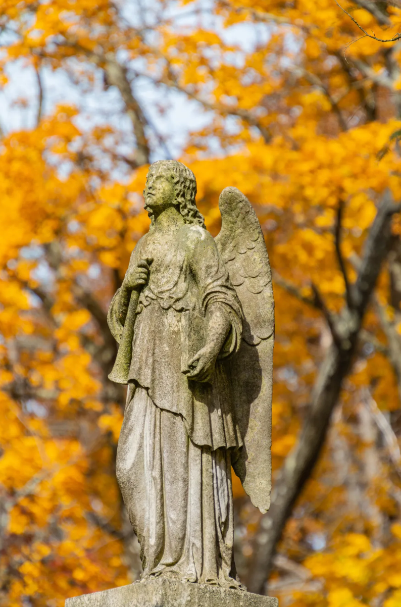 Many of Wildwood’s older graves have no documentation, adding to its air of mystery.