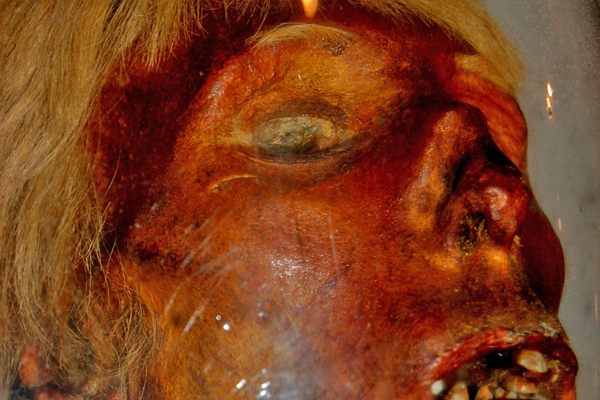 Mummified head of a murderer with blond hair