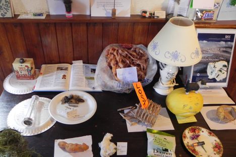 Turnip Prize entrants from 2013, including "Melancholy," "Pilot Light," and "Hair of the Dog"
