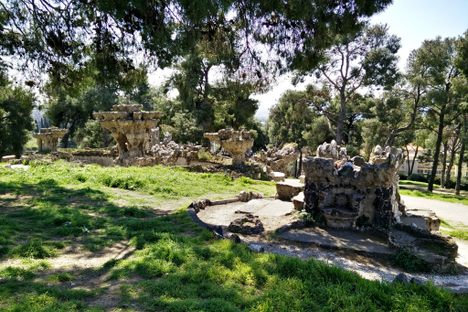 Pasha Gardens