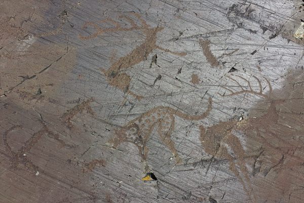 These petroglyphs feature ibexes and snow leopards
