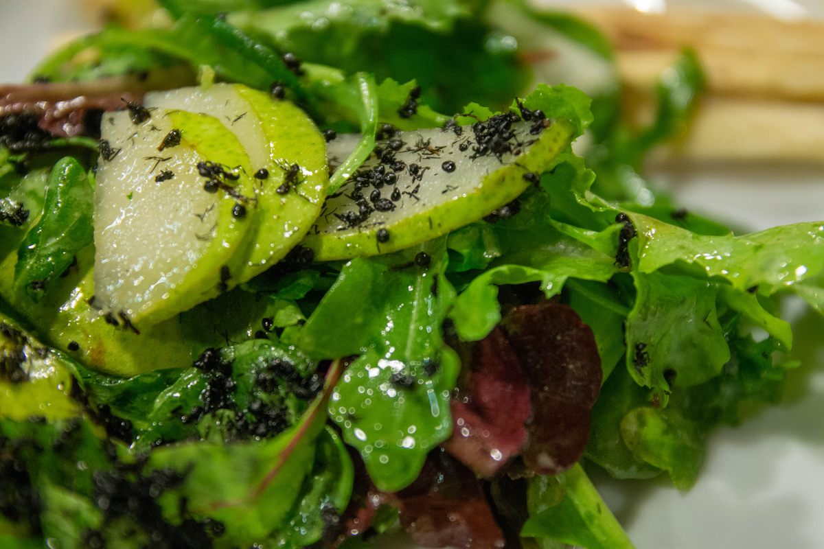 Pear salad with Changbai ants.