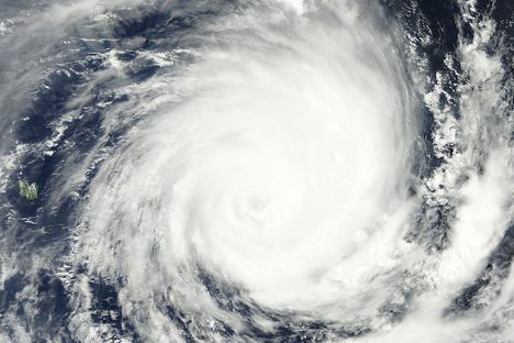 How Scientists Are Using Tree Damage to Measure Storm Surge