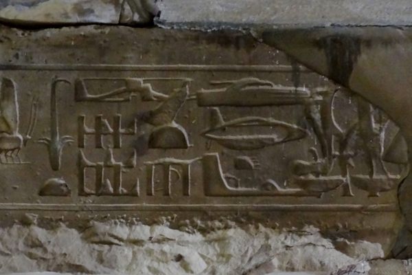 A closer look at the "Helicopter" Hieroglyphs.