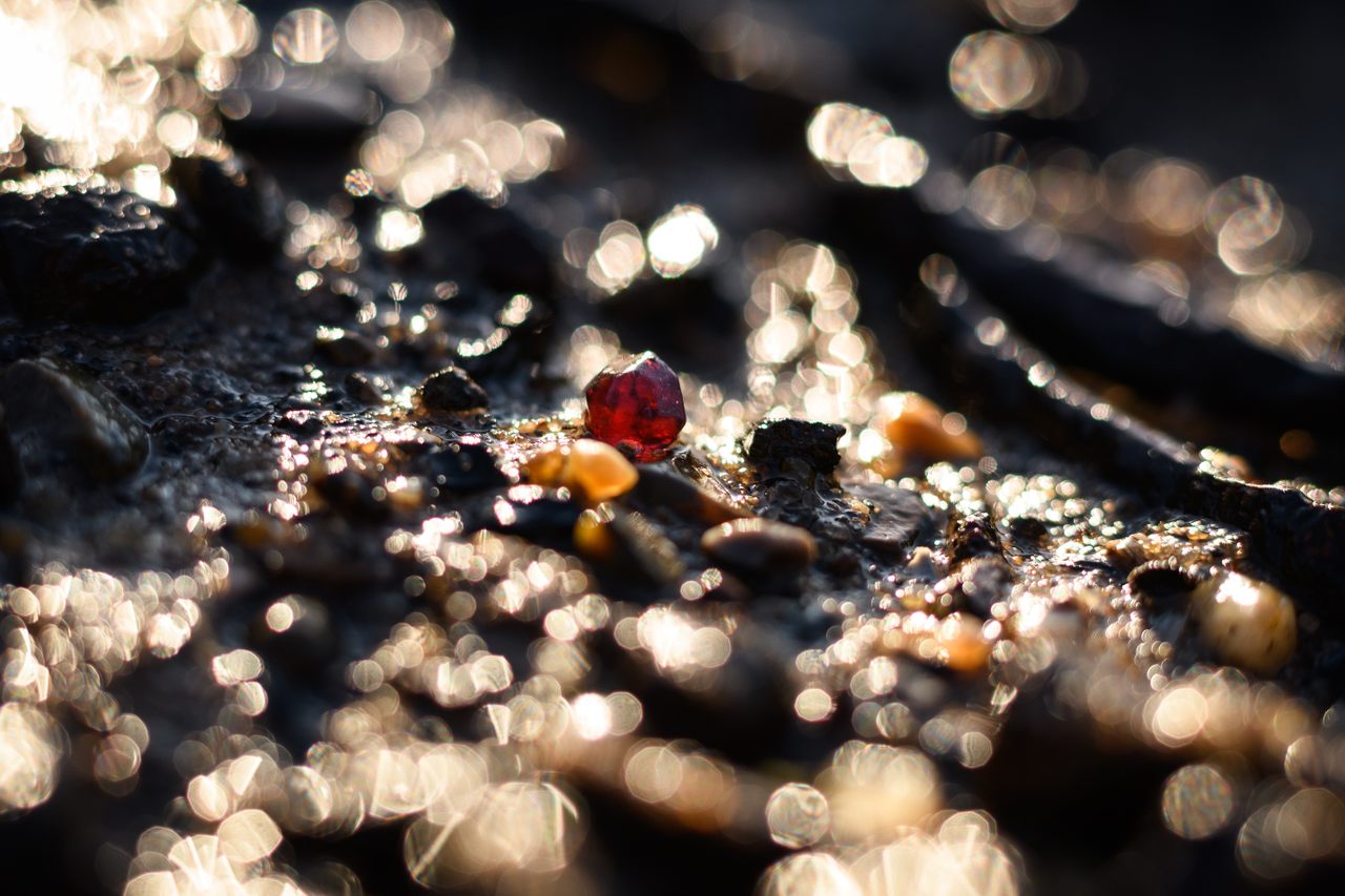 A single garnet gleams on the muddy foreshore of the River Thames.