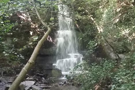 Harmby Waterfall