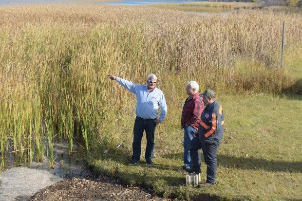 Steve Stohr, left, of Peterson Towing points to the bog Thursday along Legionville Safety Camp’s beach, with Bill Schmidt, the North Long Lake Association president, and Harry Ruikka of Peterson Towing.