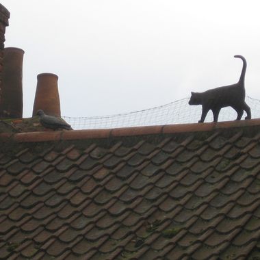 Cat Statues of York