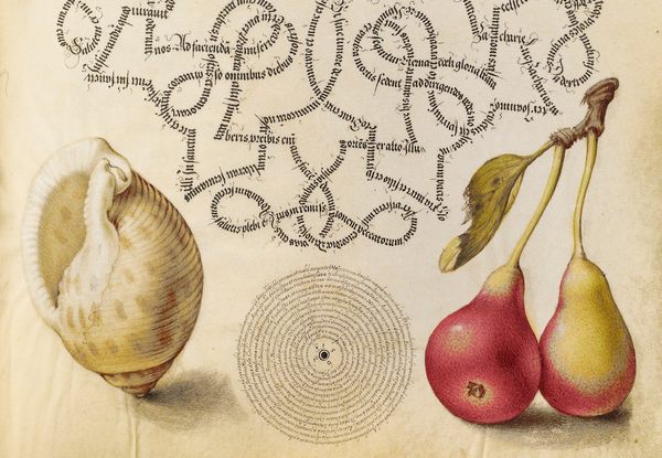 Calligraphy R Renaissance See a Dazzling, Exuberant Renaissance Calligraphy Guide