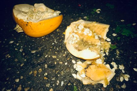 A smashed pumpkin might be the trick, regardless of the presence of a treat. 