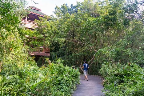 This island offers a reprieve from the chaos of downtown Bangkok.