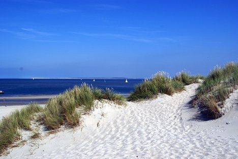 The Wadden Sea