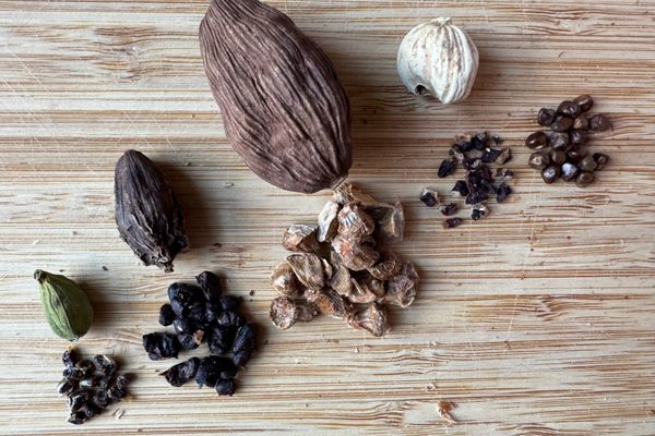 Left to right: green, black, Chinese, white, and Ethiopian cardamoms.