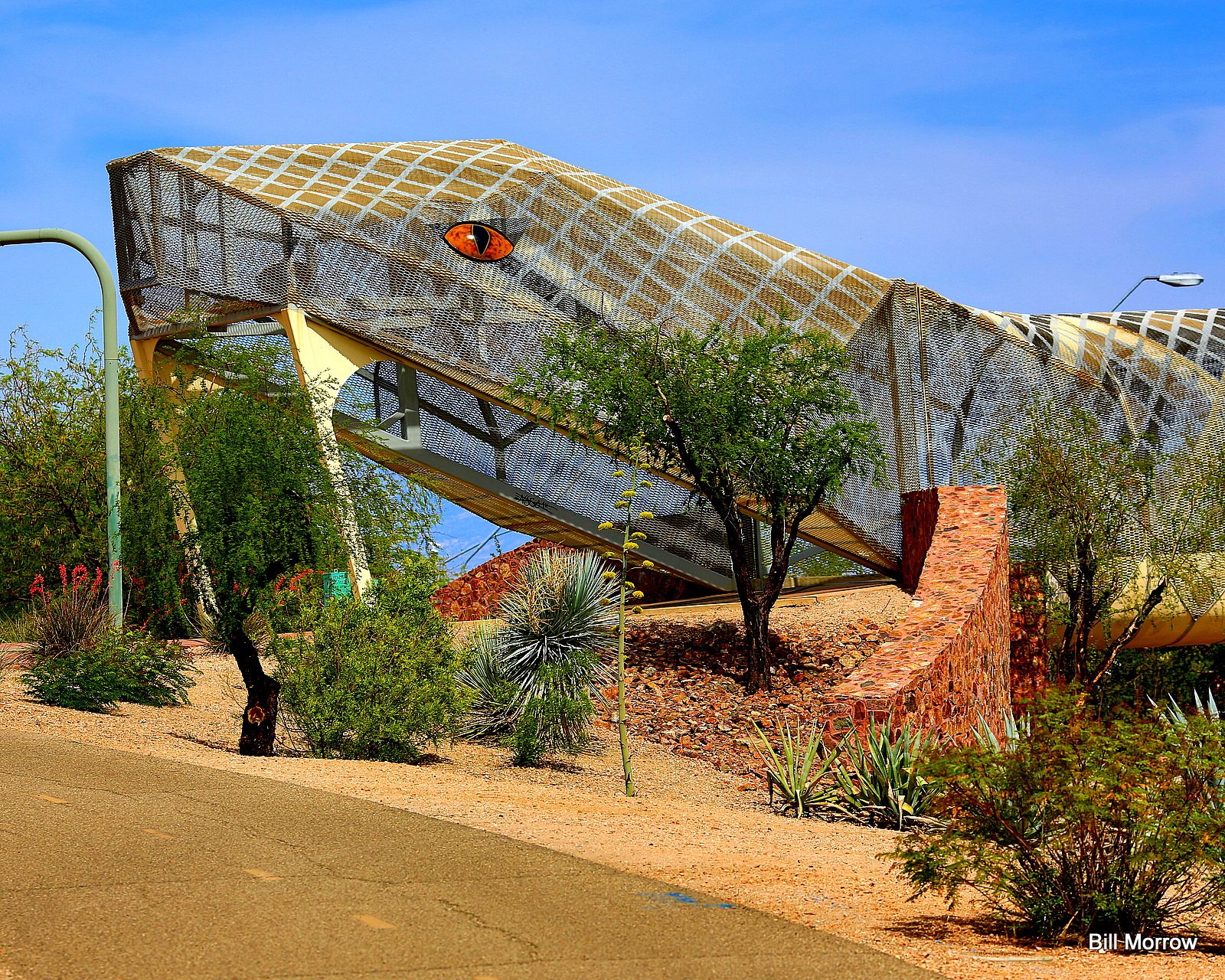 Diamondback Bridge
