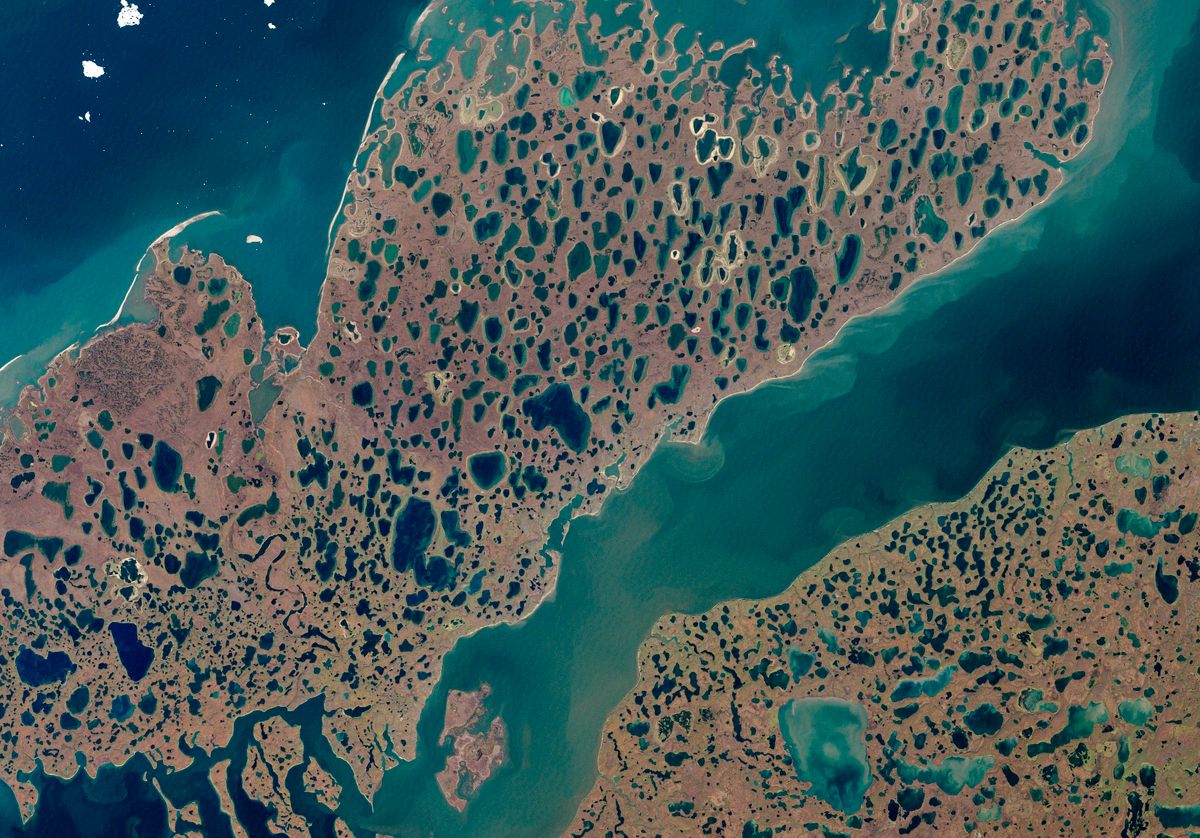 Distinctive thermokarst dominates Tuktoyaktuk Peninsula, which juts into Beaufort Sea in the Canadian Arctic.