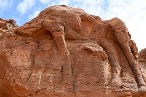 Archaeologists believe the life-sized camel and equid reliefs were likely carved and recarved throughout the Neolithic. 