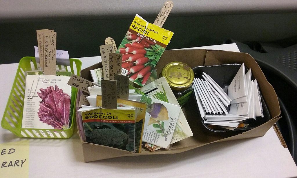 Seed library at the San Jose Public Library.
