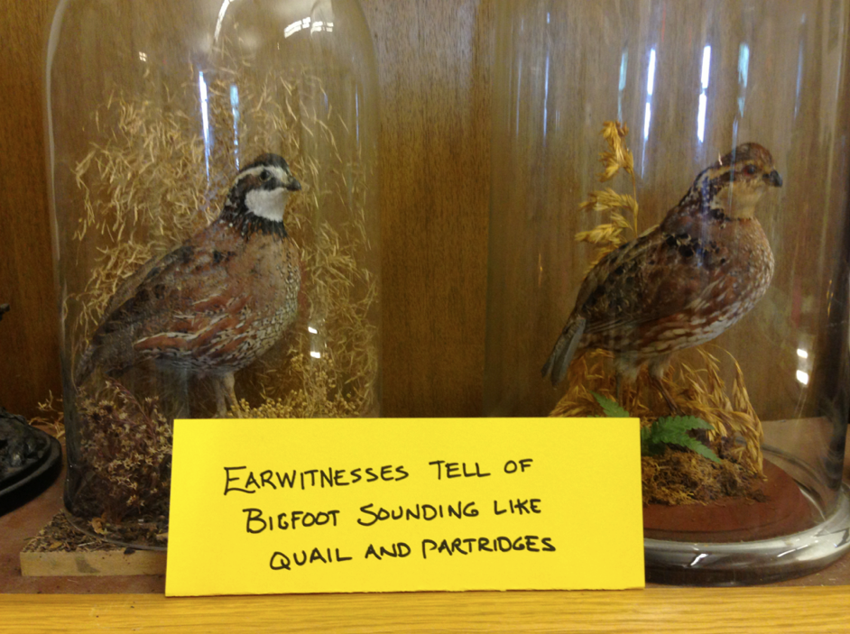 International Cryptozoology Museum,