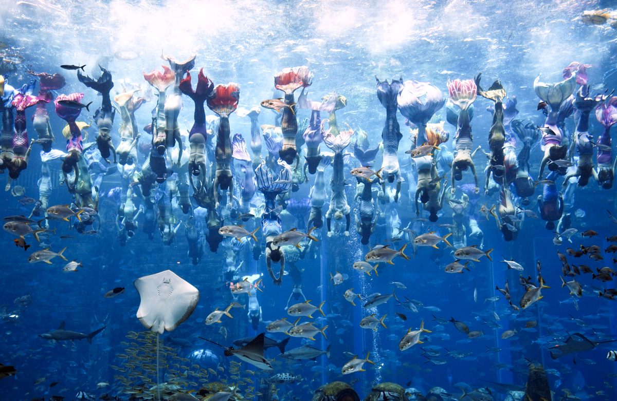 More than a hundred divers perform to set a new Guinness World Record for the "largest underwater mermaid show" at Atlantis Sanya resort on April 28, 2021, in Sanya, China. 