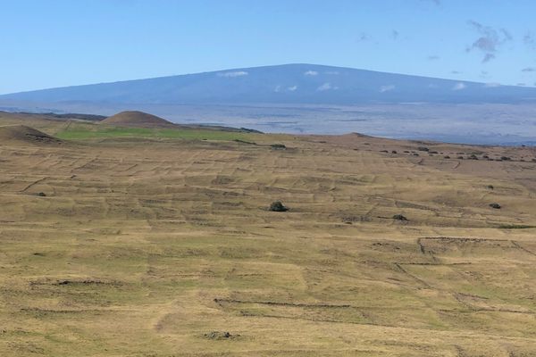 Ripples in the land are remnants of the field walls that once held rows of native sugarcane and sweet potatoes.