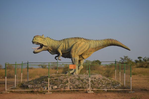 Dinosaur Fossil Park and Museum Jetholi India Atlas Obscura