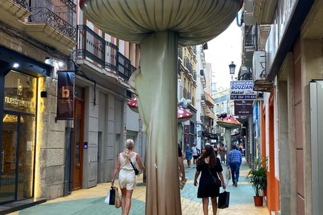 Mushroom and insect