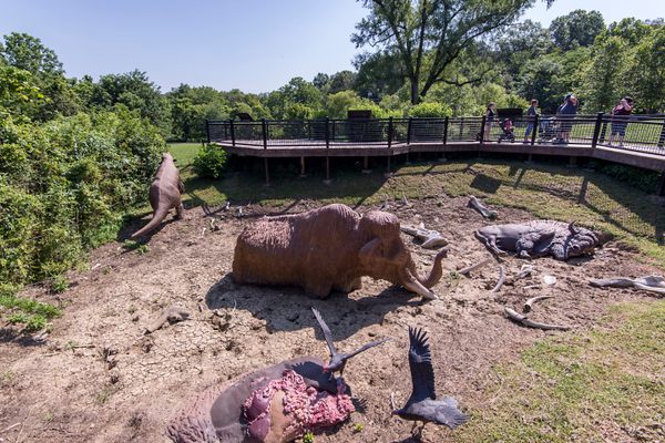The diorama pit in Big Bone Lick State Historic Site depicts a scene of the mammoths, mastodons, and bison that frequented the area thousands of years ago.
