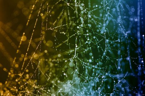 Close up of spider web threads.