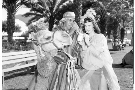 Just chillin' on a camel, sharing a shake, at the 1958 Indio date festival.