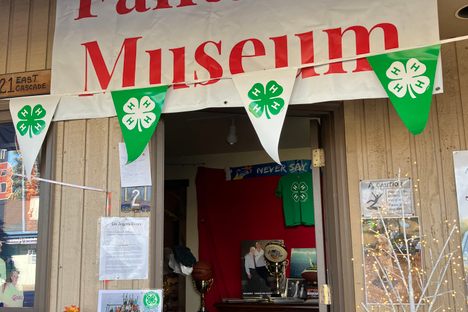 The Fantastic Museum