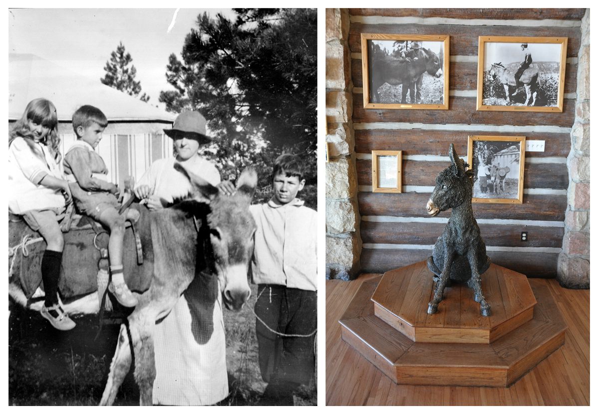 The Life and Times of Brighty, the Grand Canyon's Most Legendary Burro ...