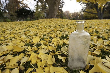 The 15th of Beal's 20 seed bottles