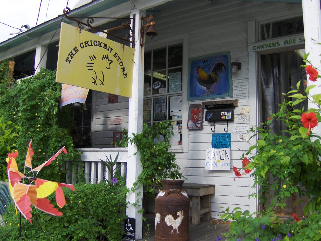 Shops like The Chicken Store have turned Key West's feral fowl population into more of a mascot.