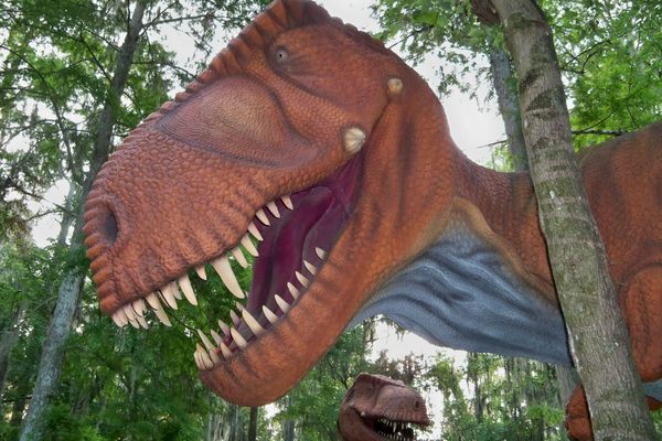 Tyrannosaurus rex is one of roughly 200 life-sized prehistoric giants found at Dinosaur World.