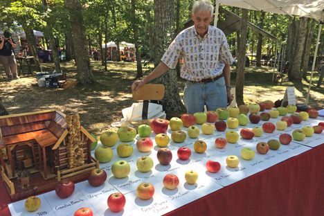 At farmers markets and other events, Brown displays a variety of apples to incite pomaceous conversations.