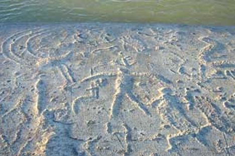 The Safe Harbor Petroglyphs