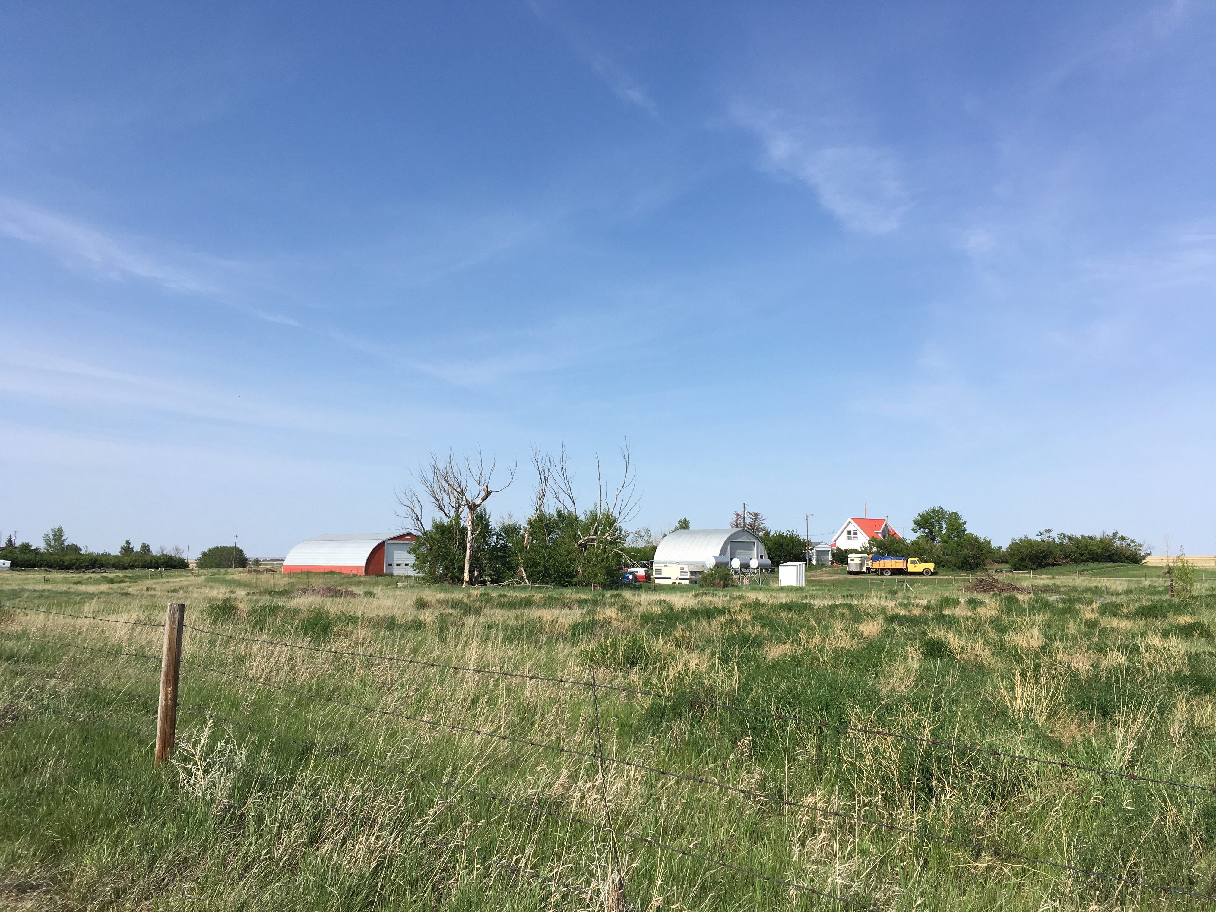 If Adams's plan successfully blossoms, Alberta Girl Acres will be full of rescue plants.