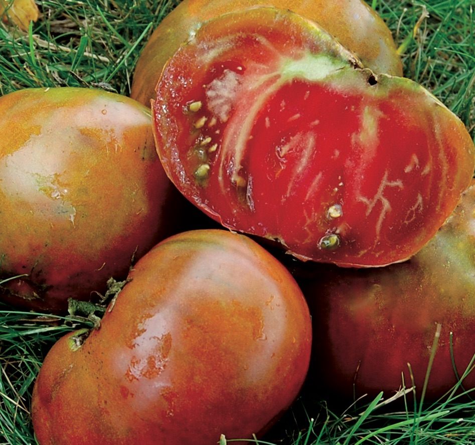 Many Russian tomatoes made their way into the Seed Savers Exchange.
