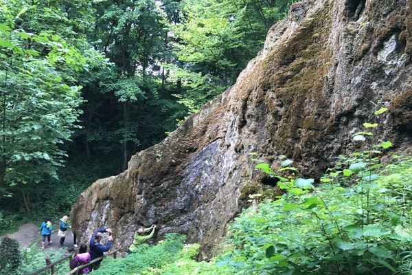 Growing Rock of Usterling.