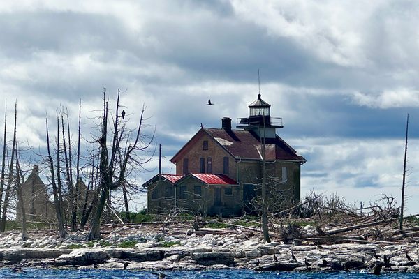 Pilot Island