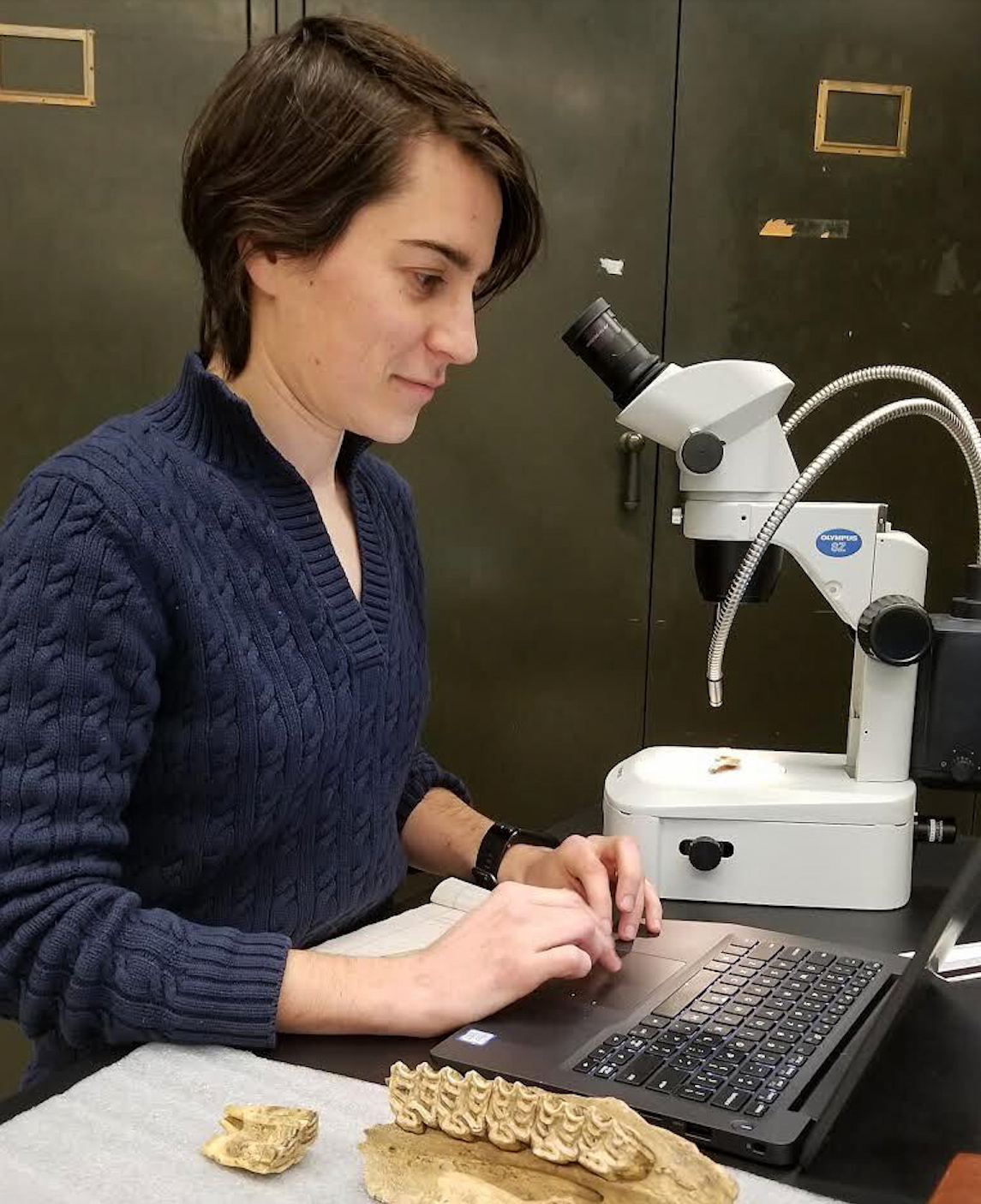 University of Kansas archaeologist Lauriane Bourgeon’s work studying bones excavated from the Bluefish Caves is expanding scientists’ understanding of how people lived 24,000 years ago in what is now Yukon. 