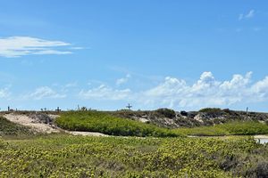 The Aruba Pet Cemetery