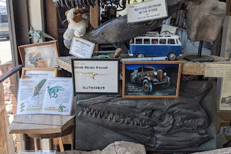 Fossil and rock store near me sales