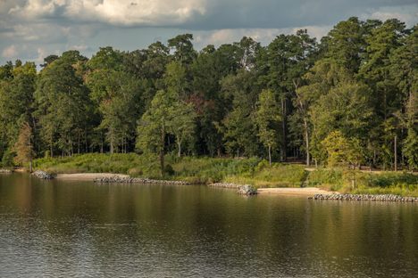 A river bank.