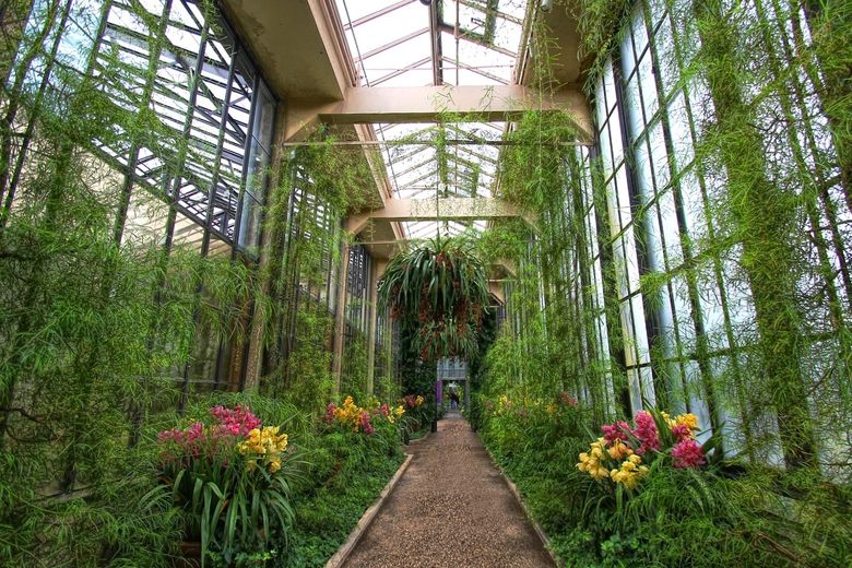 Herbaceous plant crossword