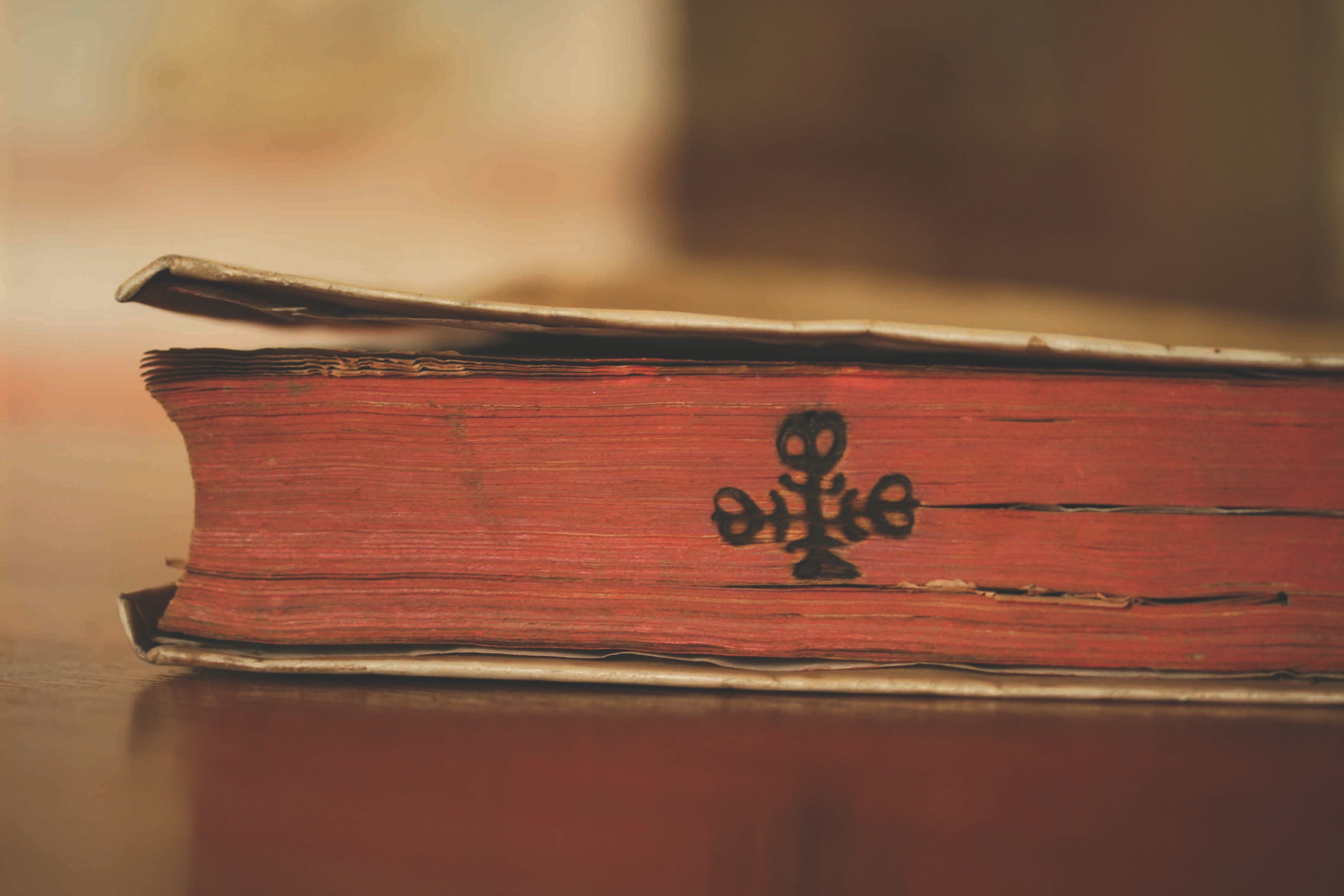 Fire-branded symbols were a sign of ownership.