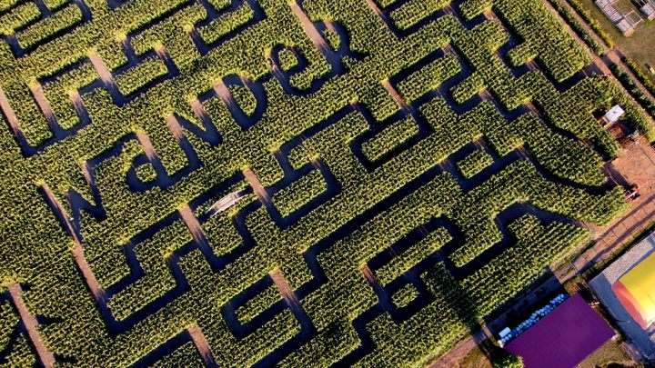 Exploring The Mysterious Allure Of Mazes And Labyrinths Atlas Obscura