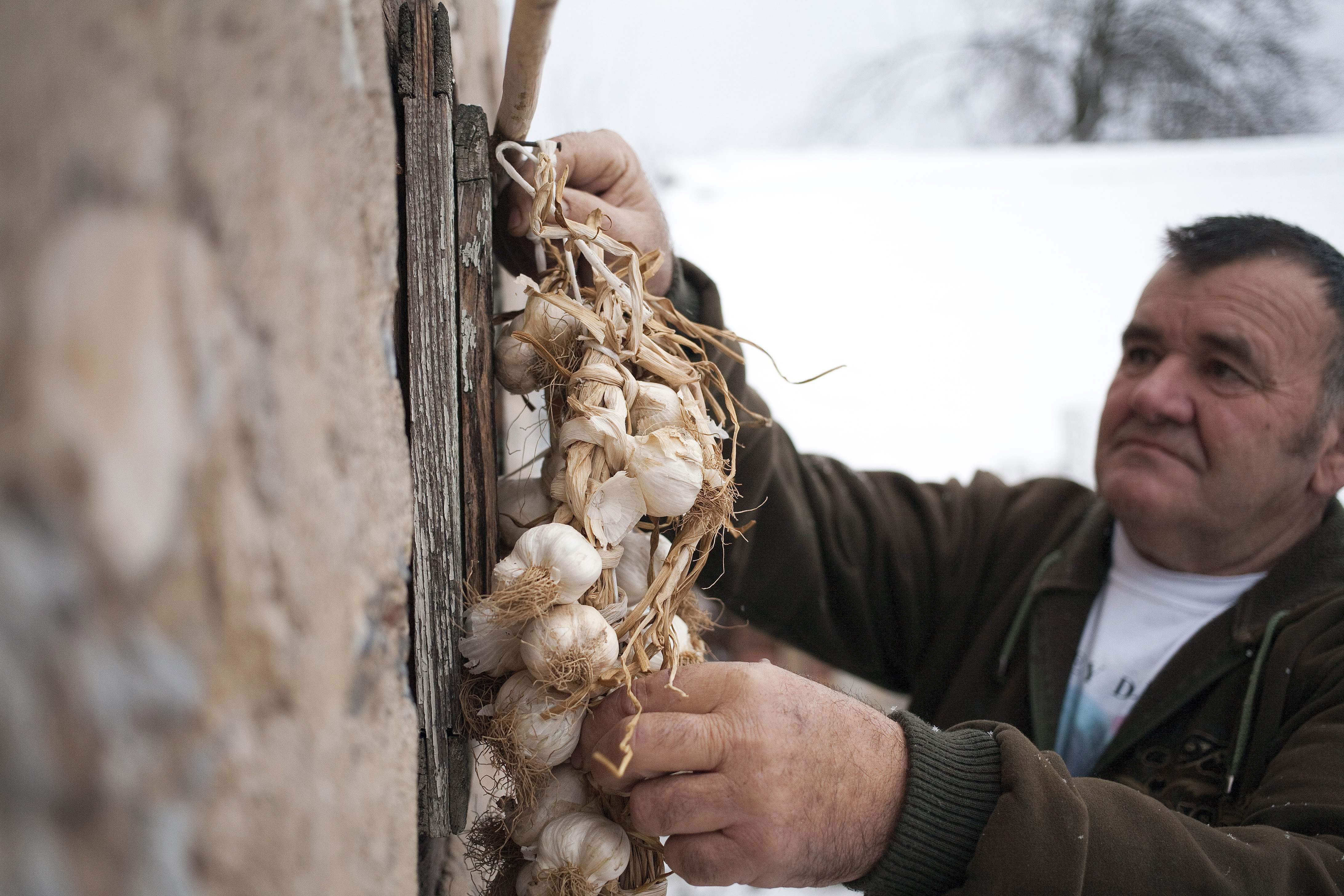 A man in a Serbian village hangs a wreath of garlic for protection in 2012.